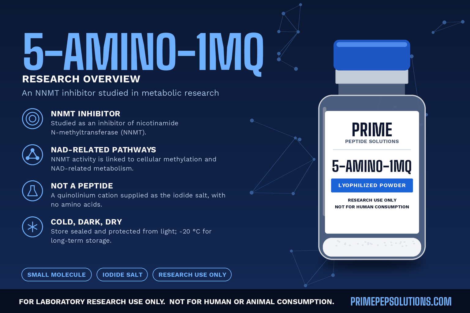 5-Amino-1MQ: Metabolic Research Overview
