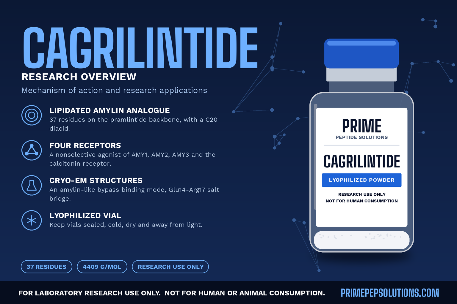 Cagrilintide: Mechanism of Action and Research Applications