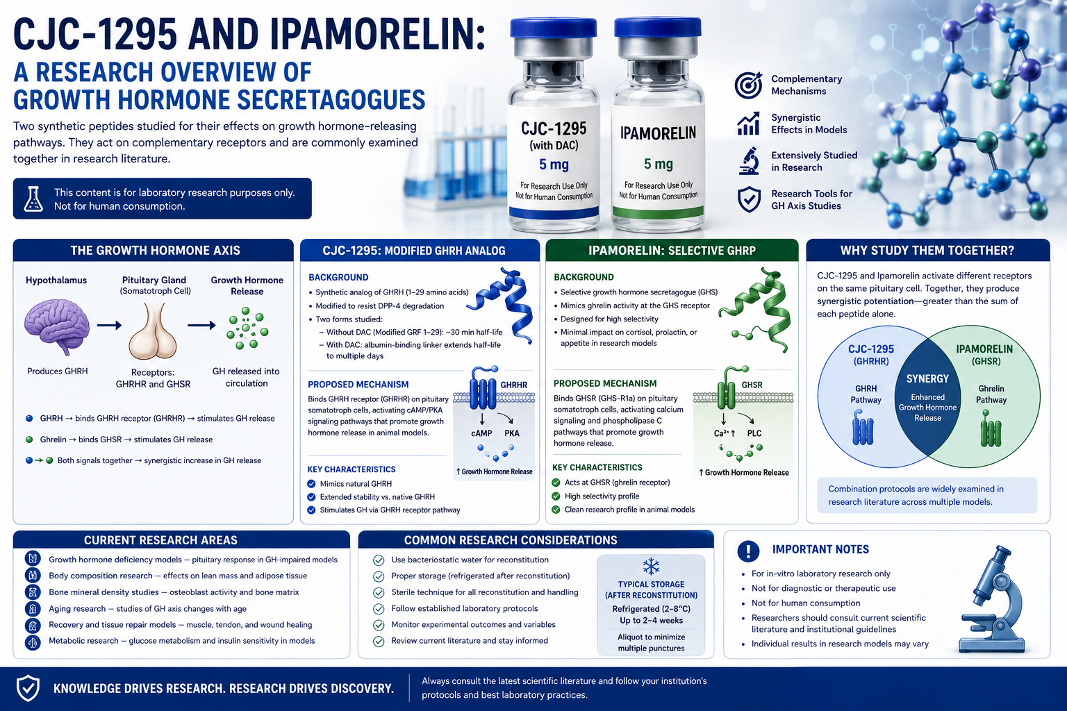 CJC-1295 and Ipamorelin: A Research Overview of Growth Hormone Secretagogues