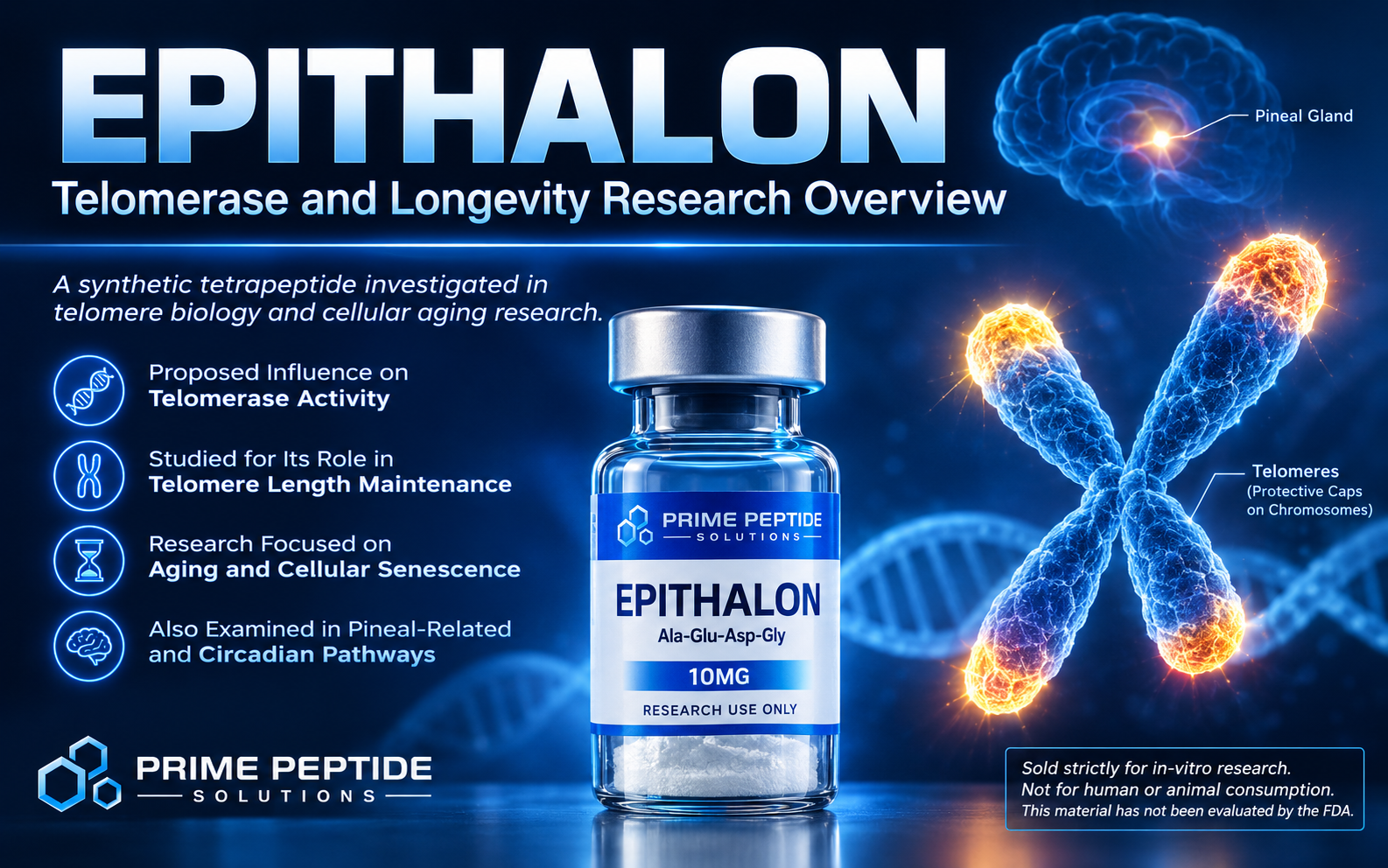 Epithalon: Telomerase and Longevity Research Overview