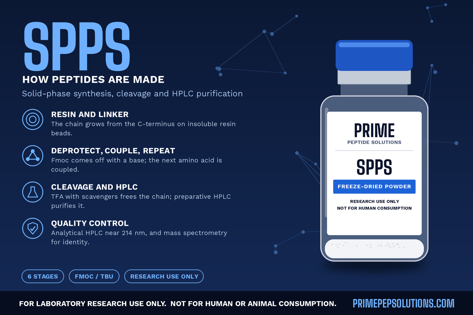 How Research Peptides Are Made: Solid-Phase Synthesis, Cleavage and HPLC Purification