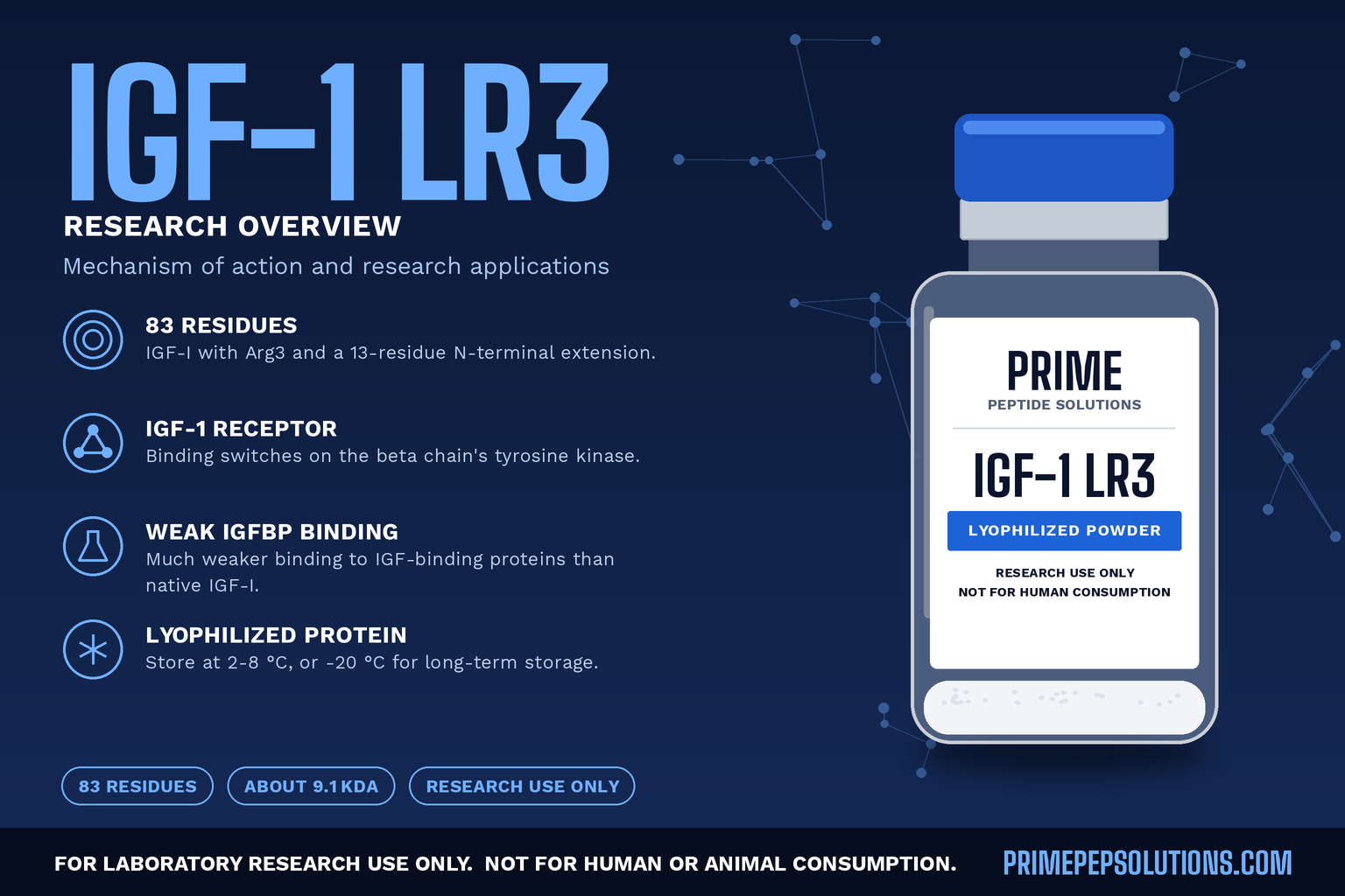 IGF-1 LR3: Mechanism of Action and Research Applications