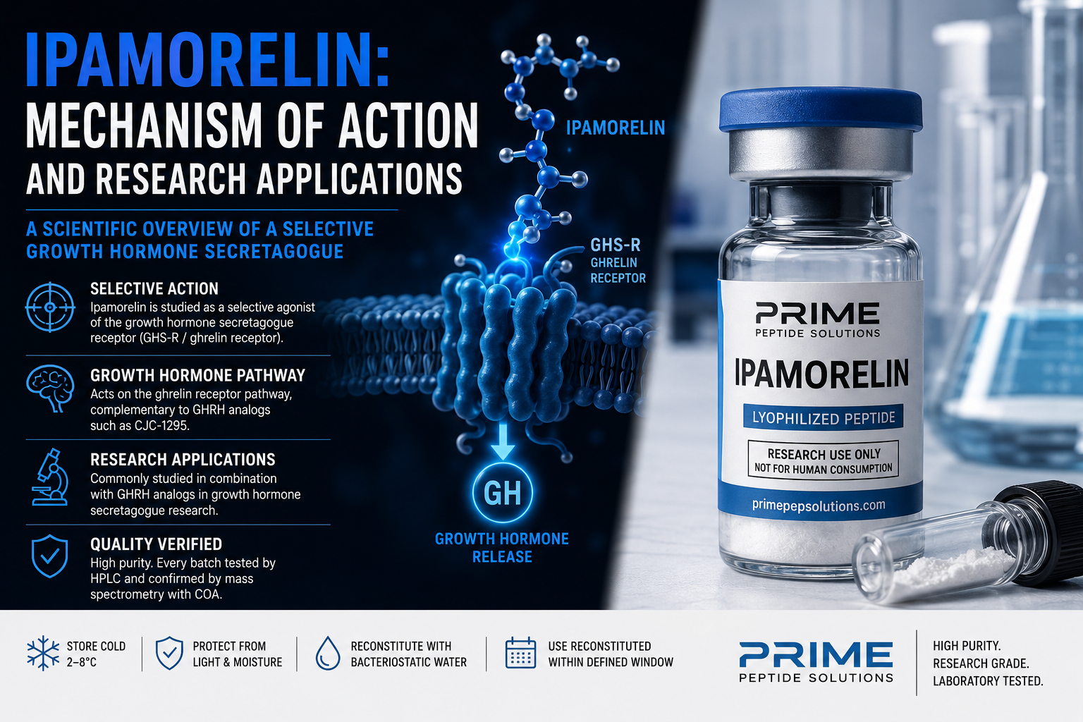 Ipamorelin: Mechanism of Action and Research Applications