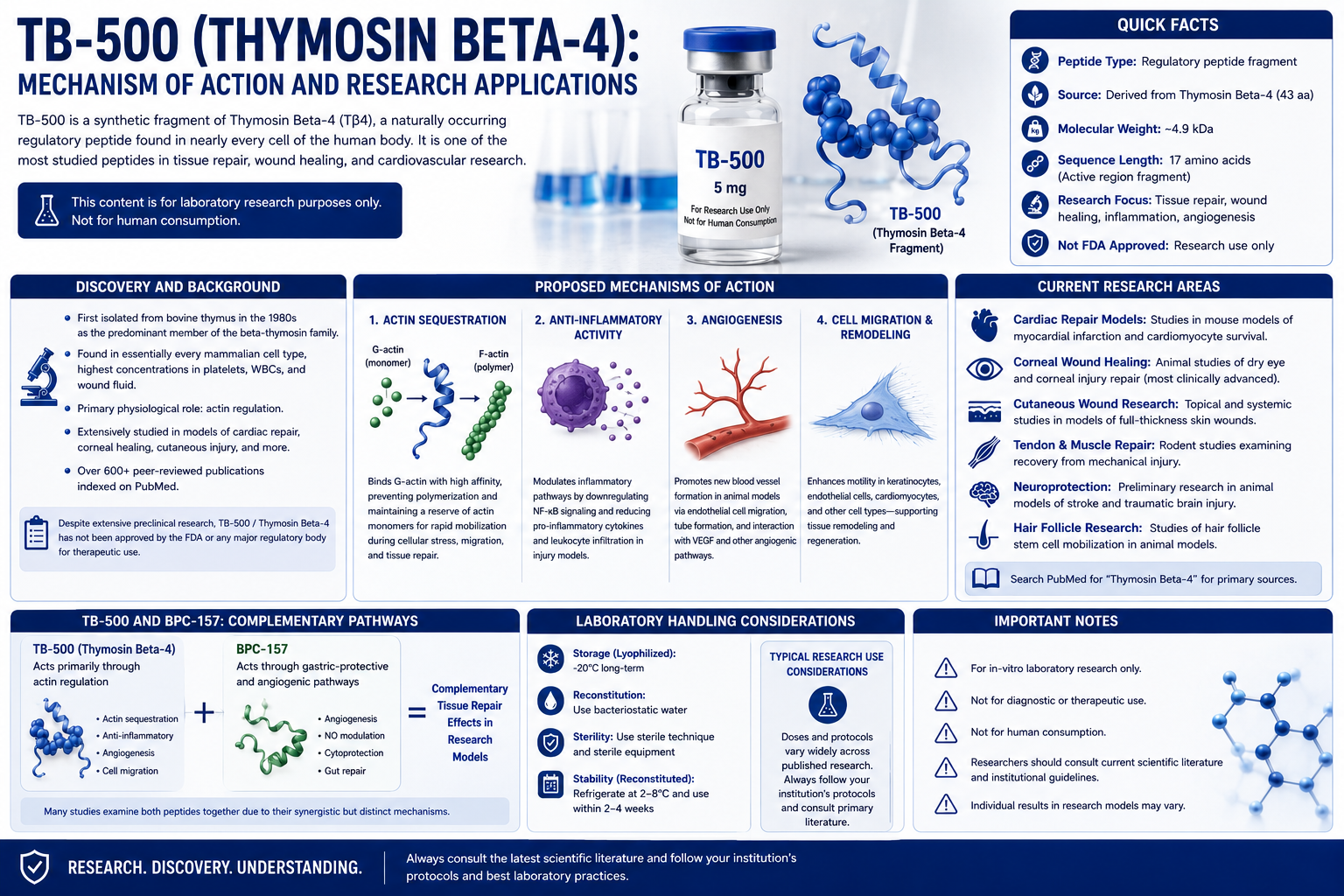 TB-500 (Thymosin Beta-4): Mechanism of Action and Research Applications
