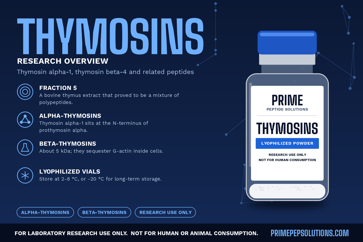 Thymic Peptides in Research: Thymosin Alpha-1, Thymosin Beta-4 and Related Peptides