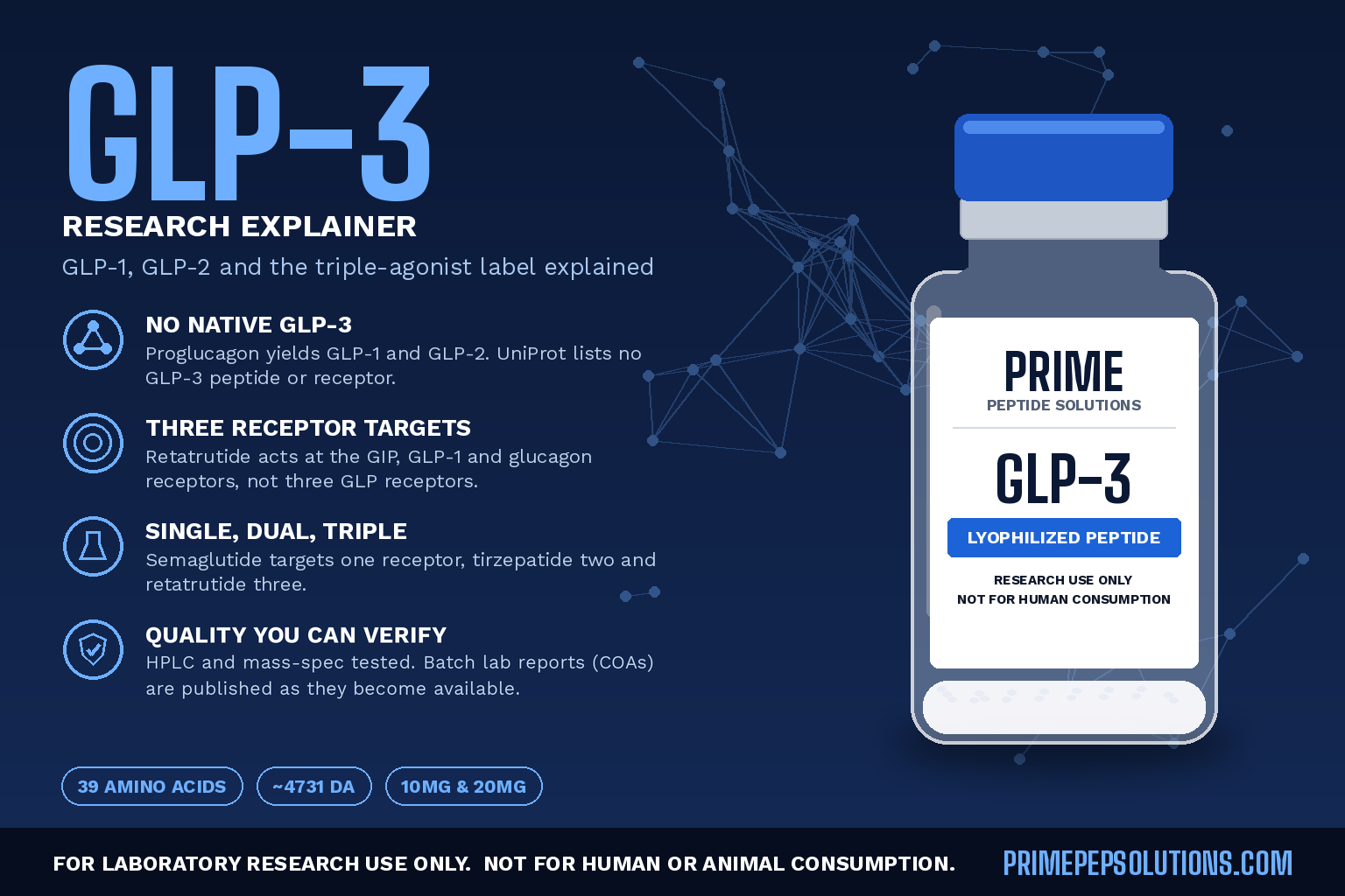 What Is GLP-3? GLP-1, GLP-2 and the Triple-Agonist Label Explained