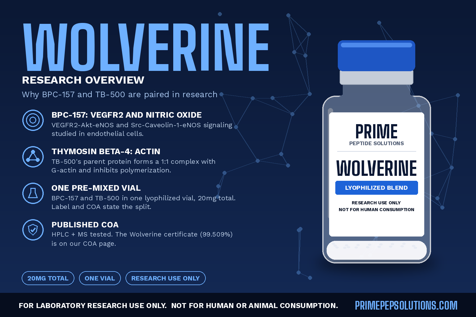 The Wolverine Blend: Why BPC-157 and TB-500 Are Paired in Research